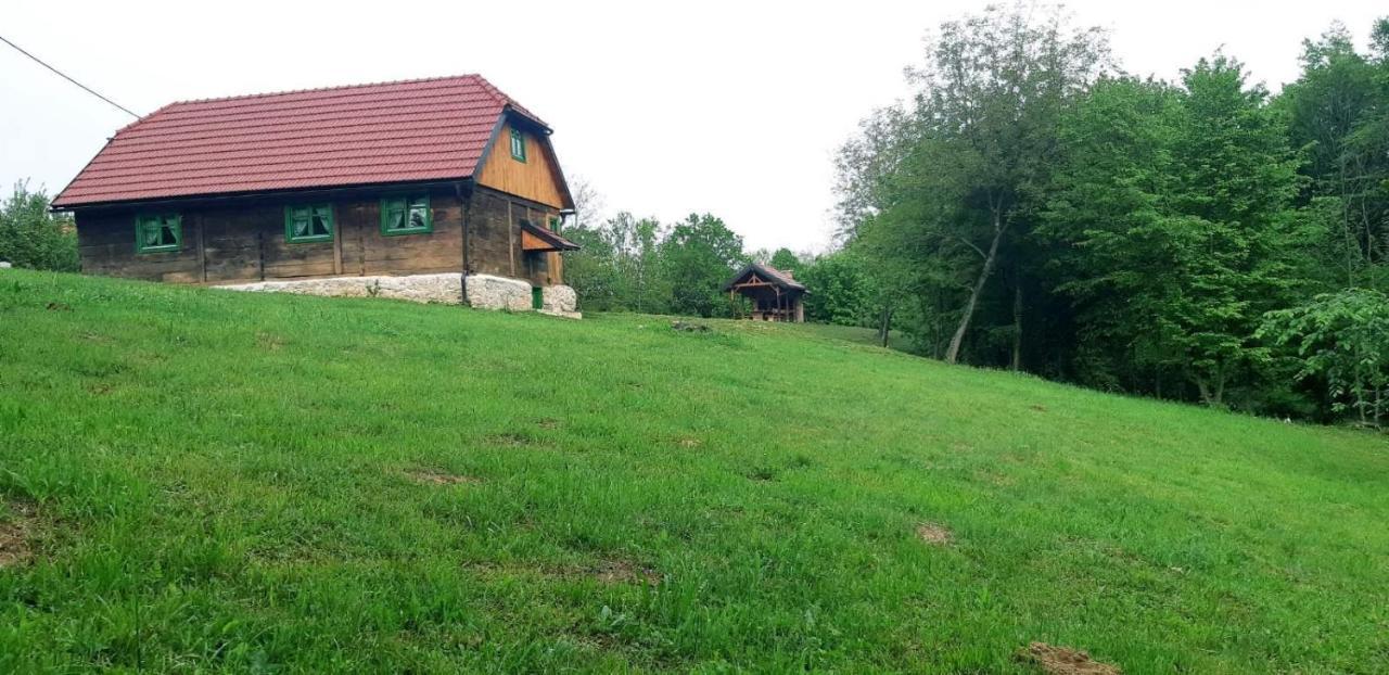 Bakina Iza Villa Duga Resa Ngoại thất bức ảnh