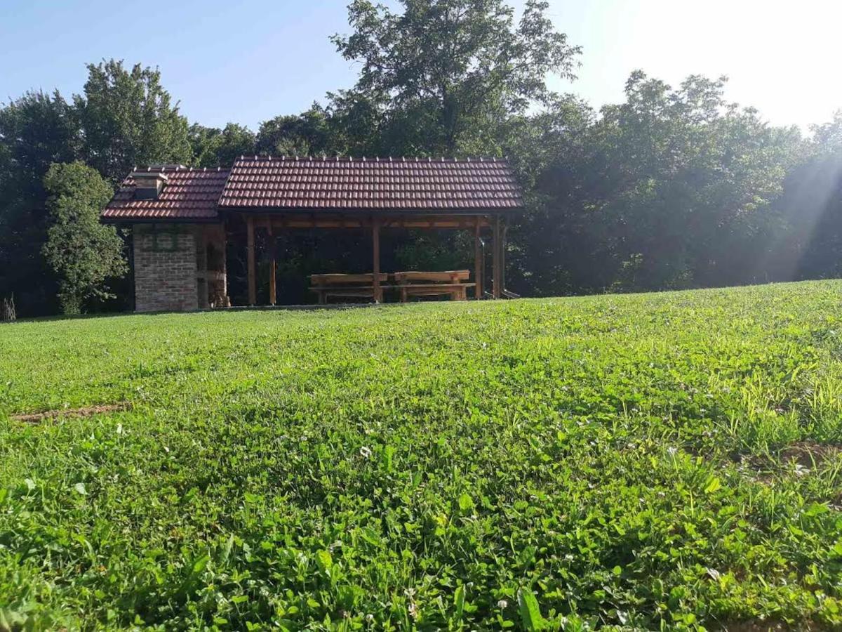 Bakina Iza Villa Duga Resa Ngoại thất bức ảnh