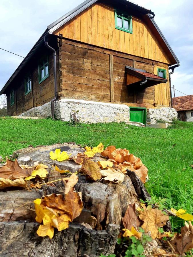 Bakina Iza Villa Duga Resa Ngoại thất bức ảnh